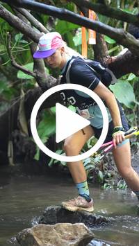 BIB:  <button type="button" onclick="openModal(27824458)" class="btn btn-primary btn-sm float-right" data-toggle="modal" data-target=".modal-high-quality">
                <i class="fa fa-download"></i> Download
                </button>